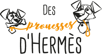 Des Prouesses d'Hermès